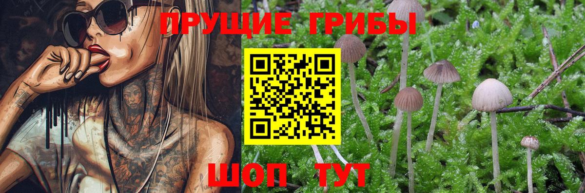 Галлюциногенные грибы Magic Shrooms  наркота  Донецк  Вход с VPN 
